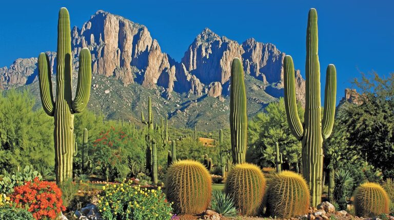 “Navigating the Arizona Landscape: Essential Tips for Secure Medical Transport for Long-Distance Transfers”