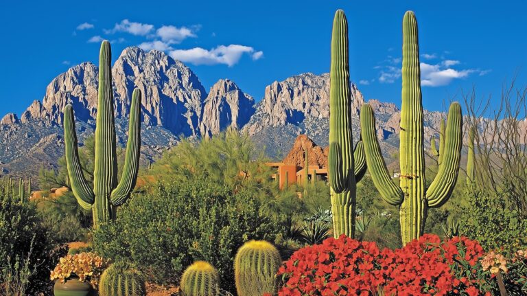 Mastering the Journey: Secure Specialist Medical Transport Across Arizona for Your Loved Ones