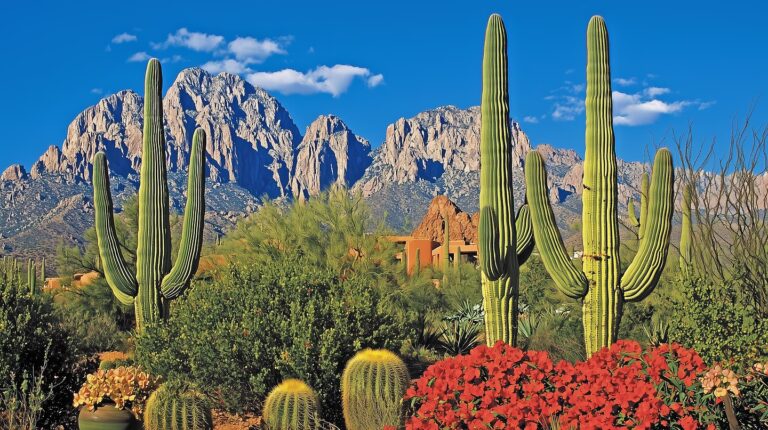 Unlocking Safe Journeys: Your Go-To Guide for Overnight Medical Transportation in AZ