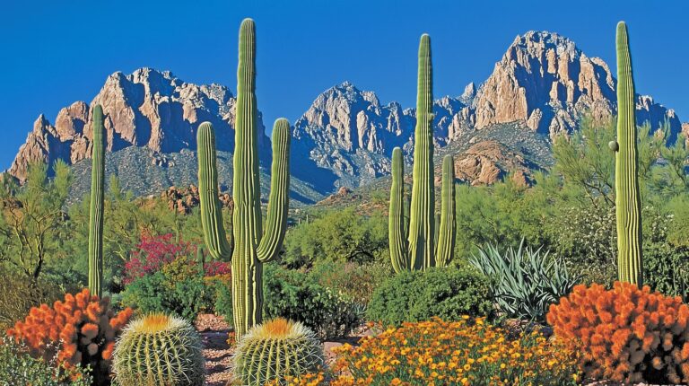 Unlocking Seamless Healthcare Access: Your Guide to Gila Bend Patient Transfer Services