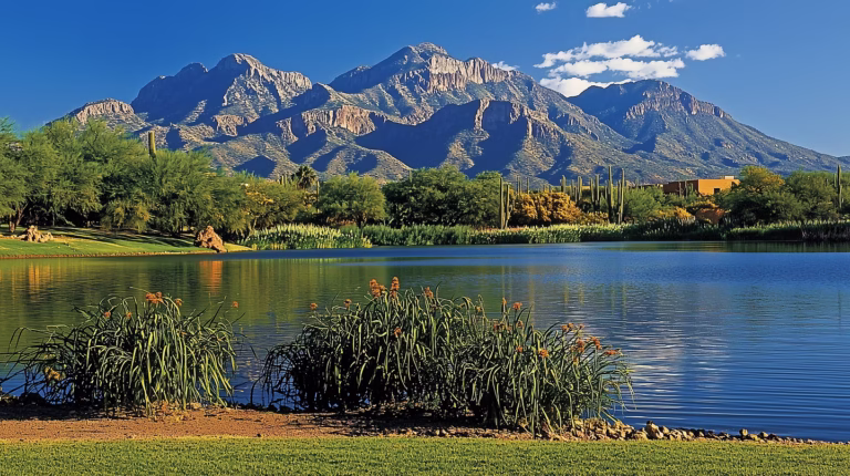 Unlocking Seamless Dialysis Center Transportation in Yuma: A Guide for Healthcare Providers